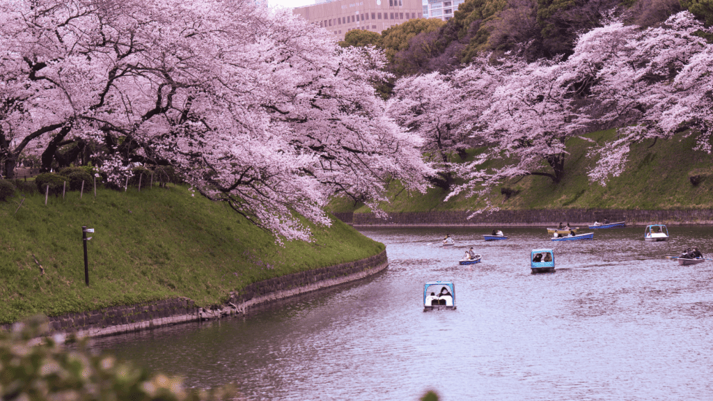 Boats on Chidorigafuchi moat in Tokyo, Japan.