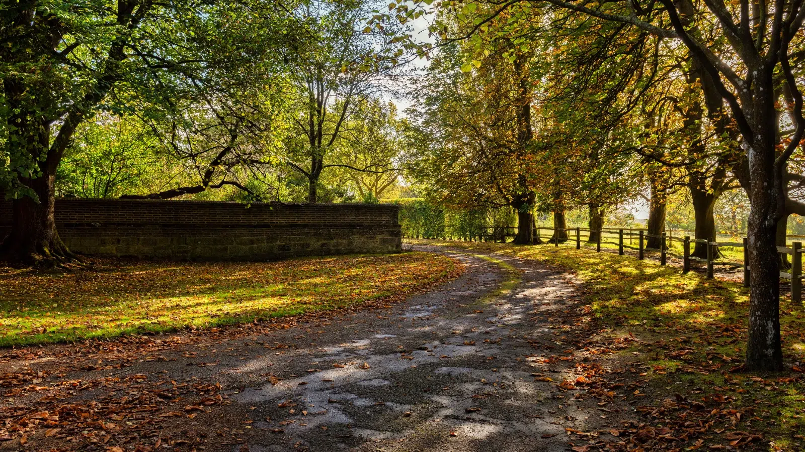 Autumn countryside around Brenchley near Royal Tunbridge Wells.
