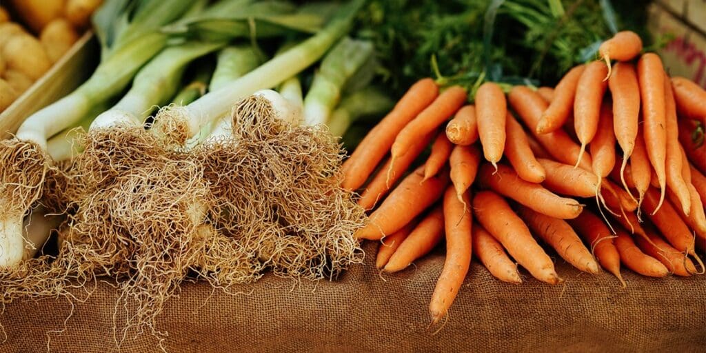 How to re-use Cardboard Moving Boxes for Gardening